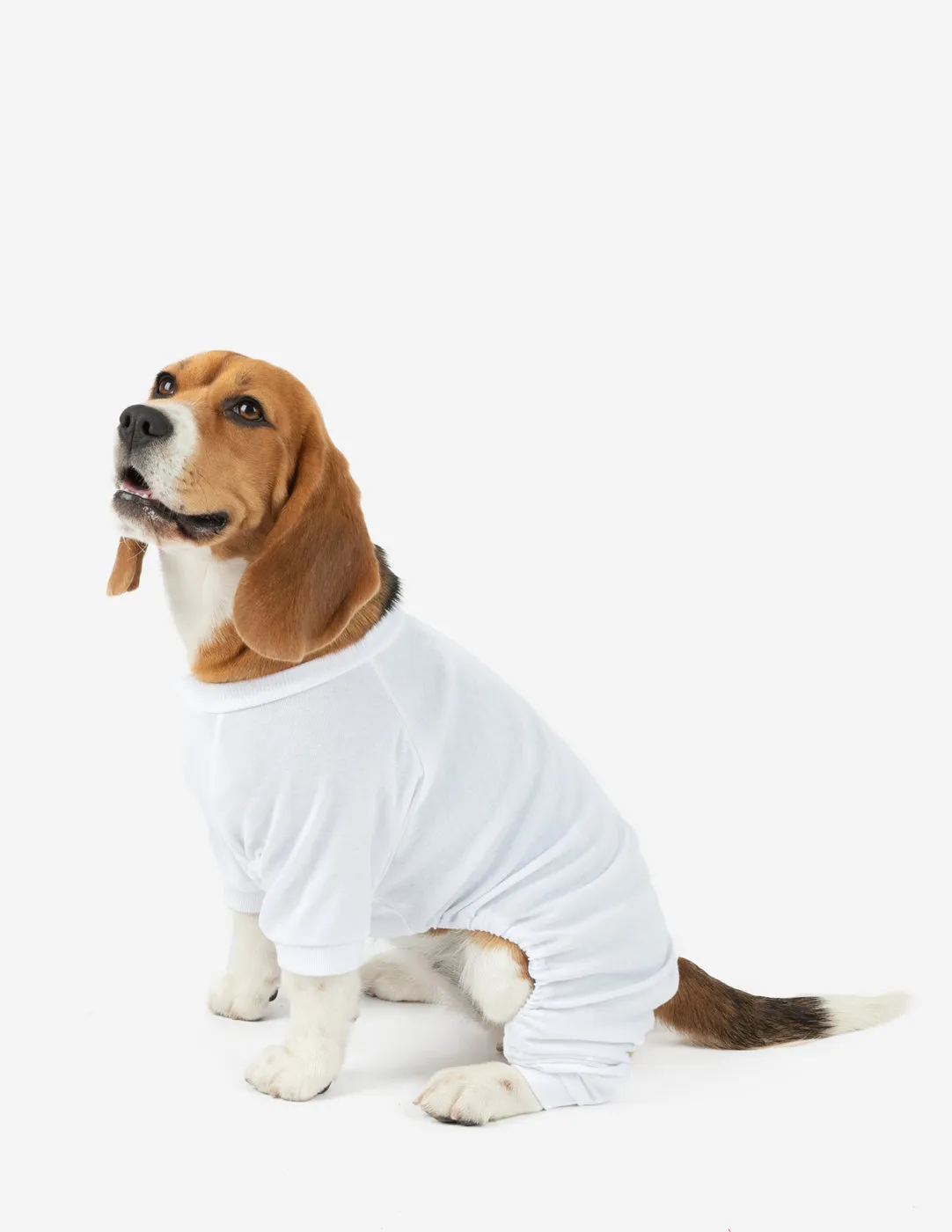 Dog's Solid Color Neutral Pajamas