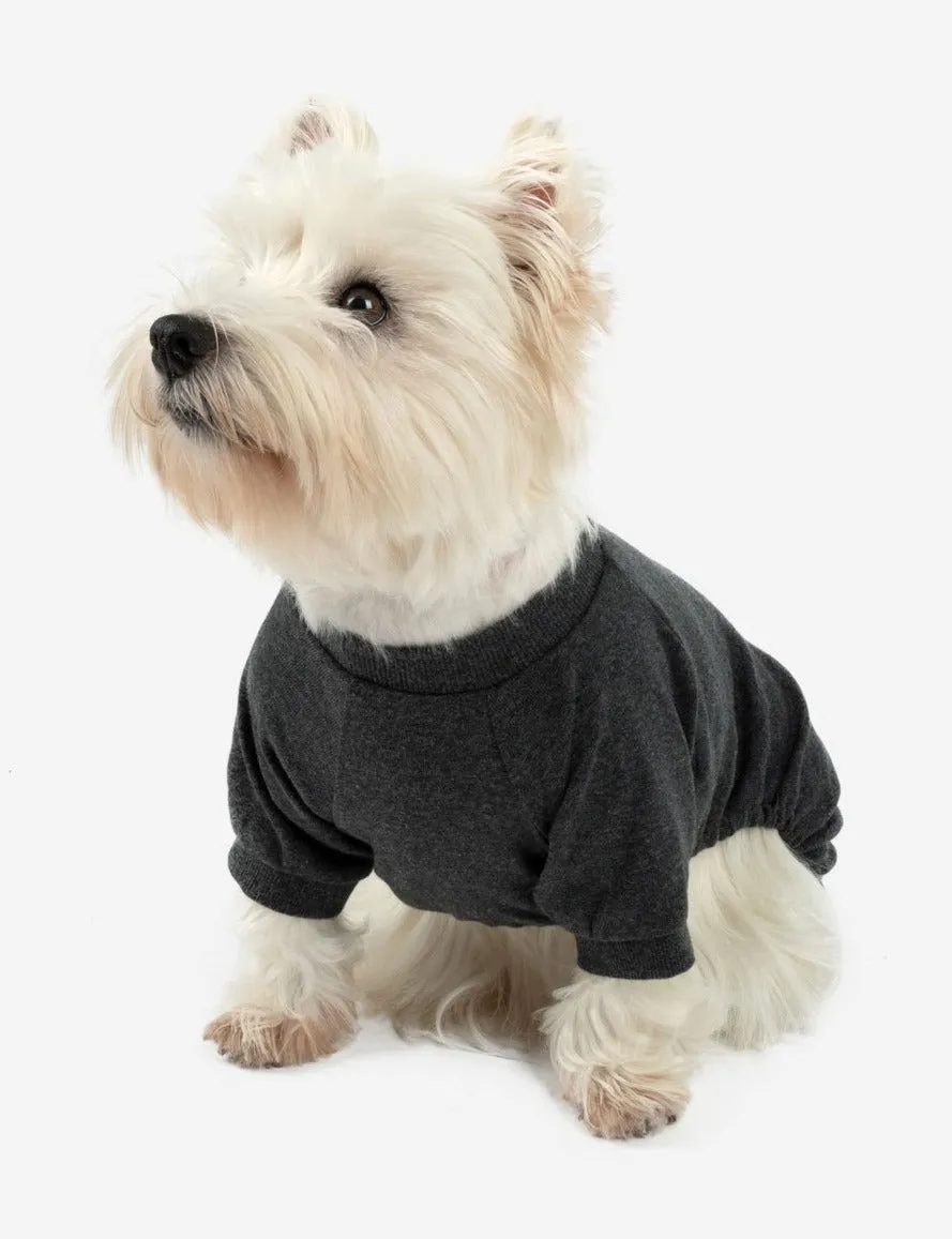 Dog's Solid Color Neutral Pajamas