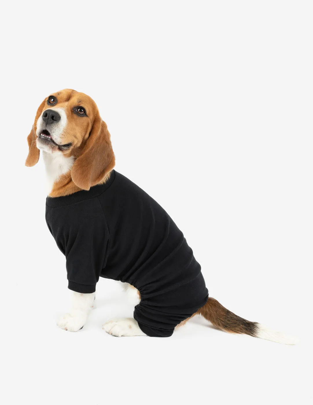 Dog's Solid Color Neutral Pajamas