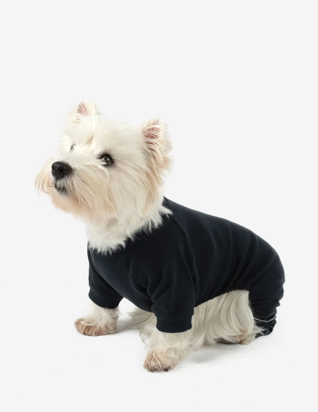 Dog's Solid Color Neutral Pajamas