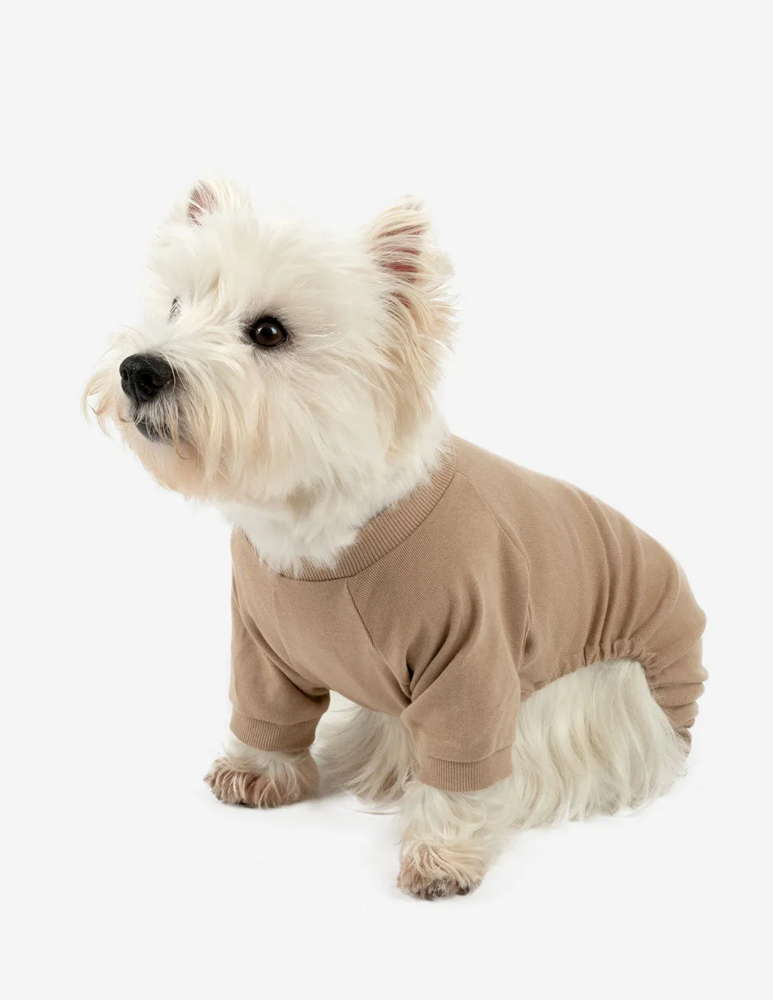 Dog's Solid Color Neutral Pajamas