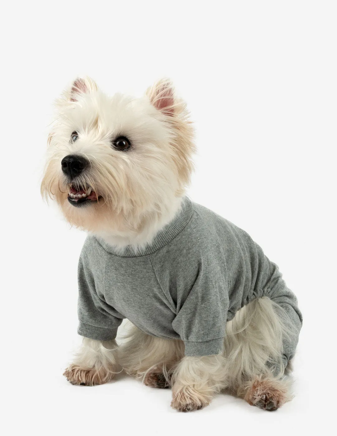 Dog's Solid Color Neutral Pajamas