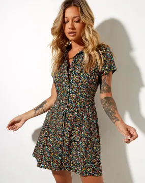 Holma Mini Dress in Kenny Floral