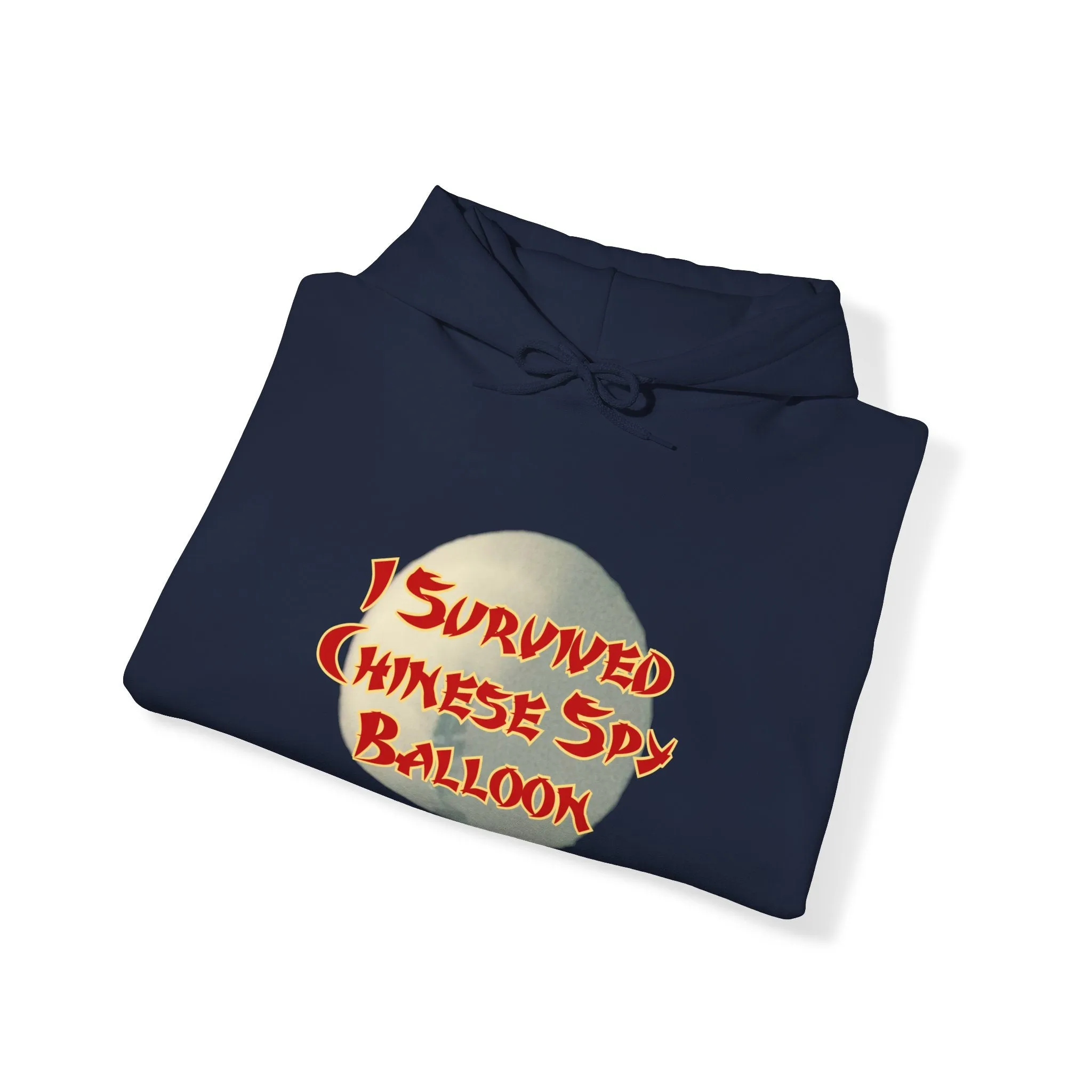 I Survived Chinese Spy Balloon Unisex Heavy Blend™ Hooded Sweatshirt