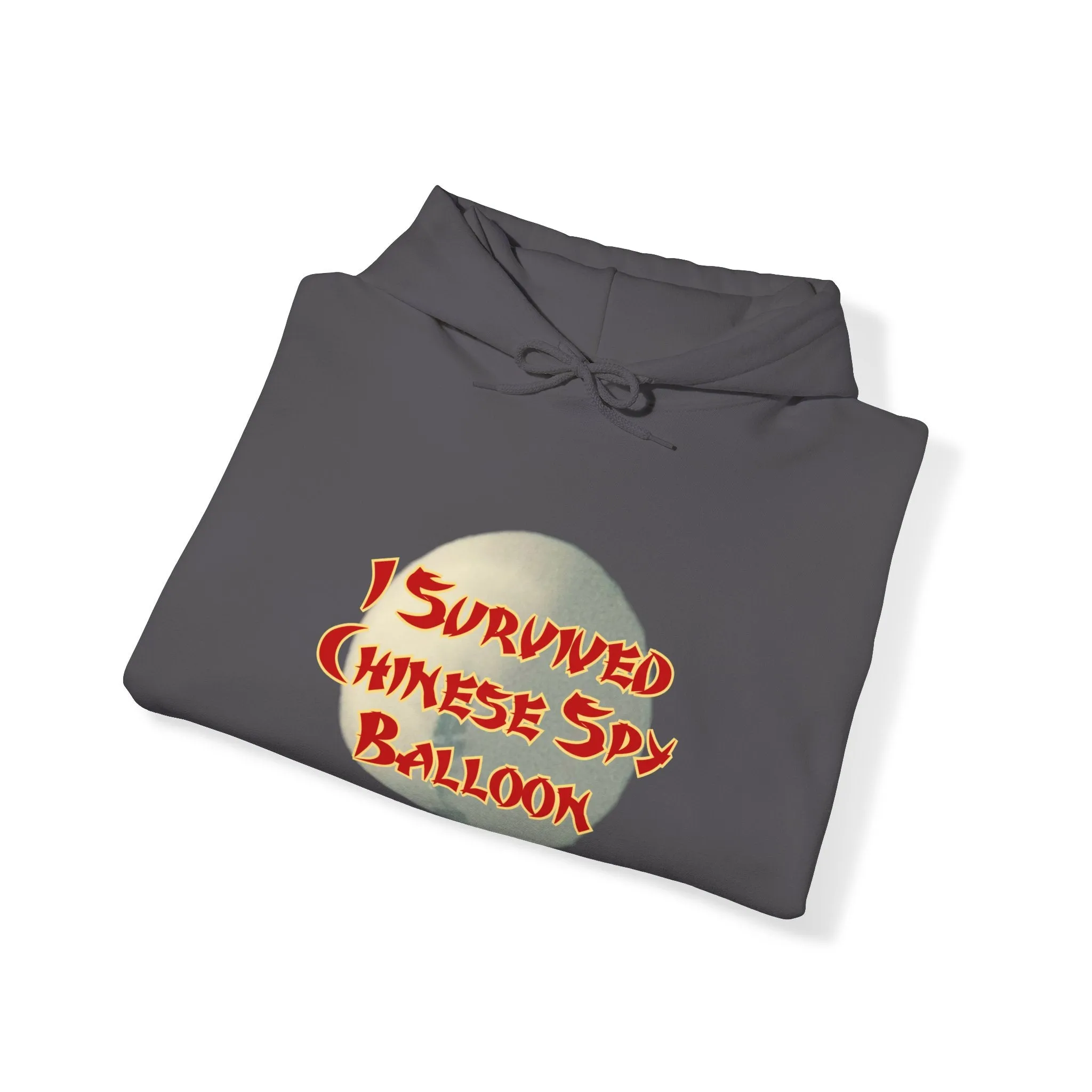 I Survived Chinese Spy Balloon Unisex Heavy Blend™ Hooded Sweatshirt