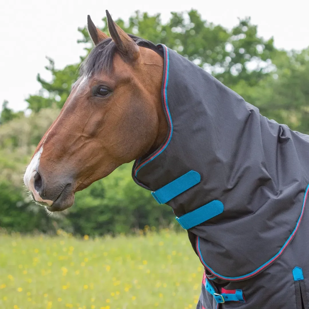 Shires Highlander Original 200g Turnout Rug & Neck