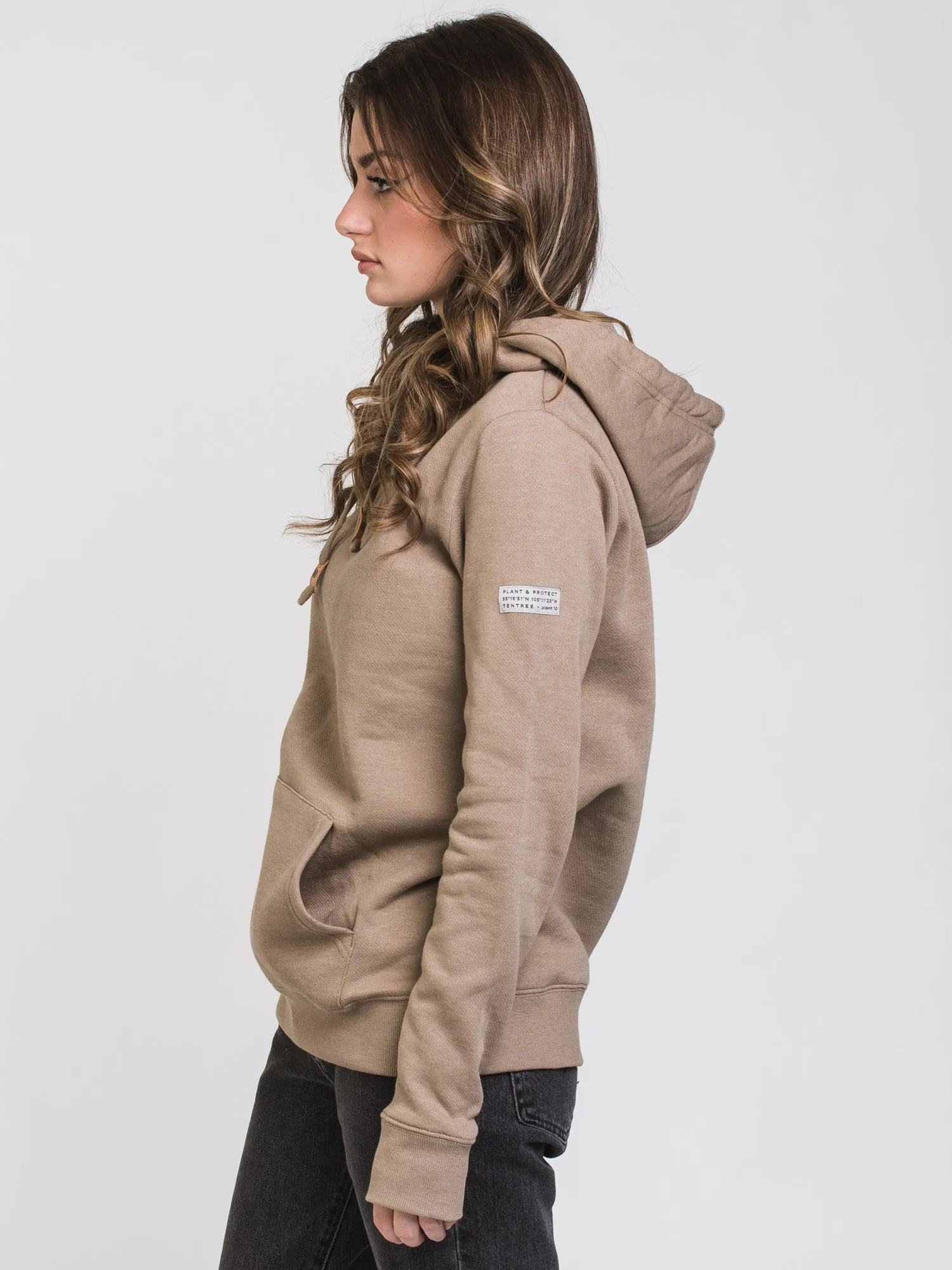 TENTREE BANSHEE PLANT PATCH PULLOVER HOODIE - CLEARANCE